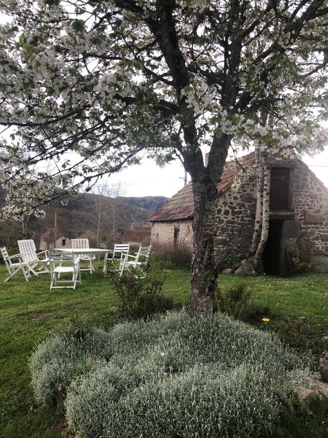Maison d'hôtes Ourdeaux et Gite Chez Rouchon Alleyrat  Exterior foto